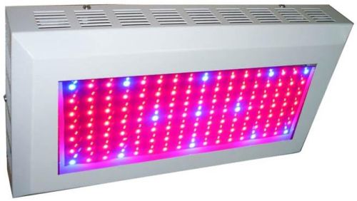 Promotional LED Keychain LED Light---popular In Usa