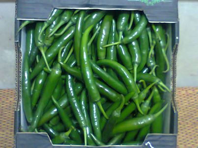 Green chilli, Application : Cooking