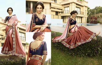 Designer Saree