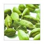 Green Cardamom