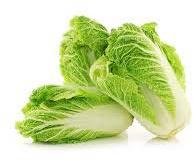 Fresh Chinese Cabbage