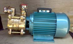 Bronze Self Priming Pumps