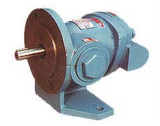 Gland Leo Gear Pumps