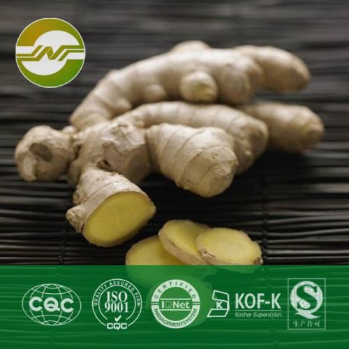 Ginger Root Extract