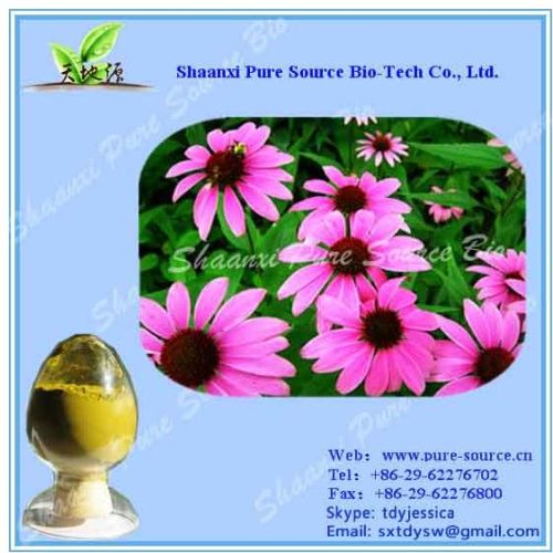 Echinacea Extract 4% Polyphenol For Veterinary Pharmaceuticals and Feed Additives