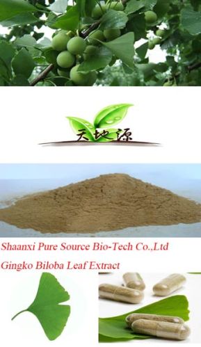 Ginkgo Biloba Extract