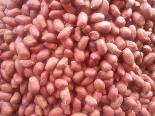 Skinned Peanuts