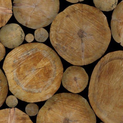 Teak wood logs, Shape : Round