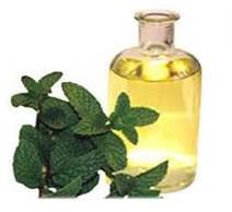 Mentha Oil