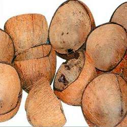 Coconut Shell