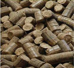 Bio Coal Briquettes