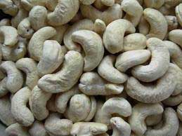 Cashew Nuts