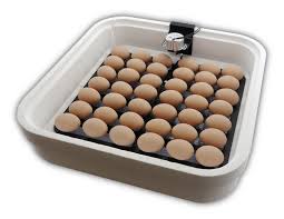 Egg Incubators