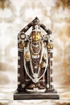 Divinity Balaji Statue