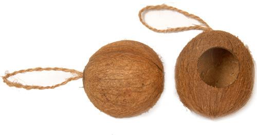 Coconut Shell Bird Houses