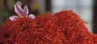 Natural Kashmiri Mogra Saffron, Packaging Type : Glass Bottle, Glass Jar, Plastic Packet, Plastic Pouch