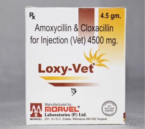 Amoxycillin & Cloxacillin Injection