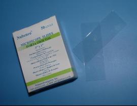 Microscope Slide