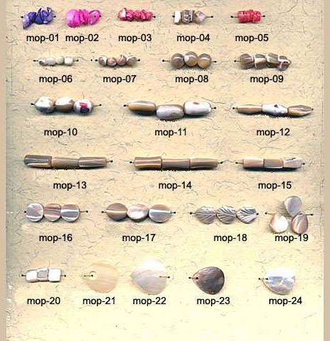 Shell Beads