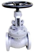 GLOBE VALVE BOLTED BONNET