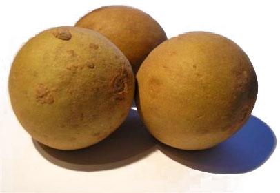 Fresh Sapota