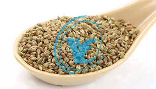 Carrom Seeds