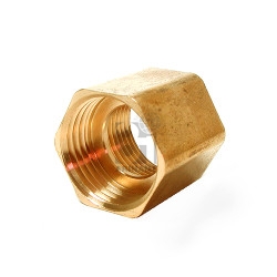 FPT Brass Cap