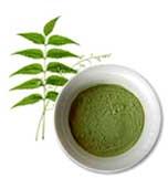 Organic Neem Powder, Color : Green