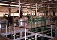 Vegetable Oil Refinery Plant