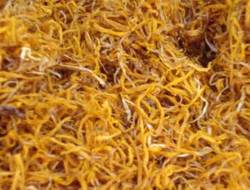 Kashmire Pati Saffron