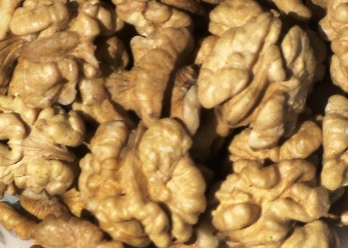 Common Walnut Kernels, For Bakery, Chacolate, Food, Health Care, Milk Shakes, Nutritious Food, Style : Dried