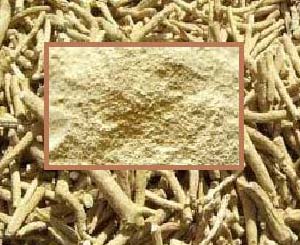 Withania Somnifera, Packaging Type : Bulk