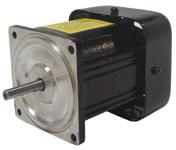 FHP AC INDUCTION MOTORS