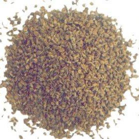 Baba Namak Ajwain Seeds, Style : Dried