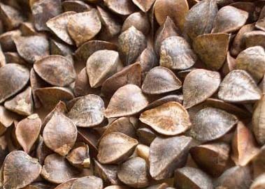 Buckwheat Seeds, Packaging Type : Bulk