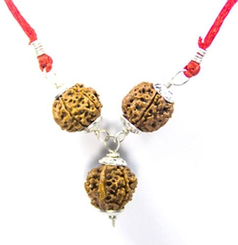 Three Mukhi Rudraksha