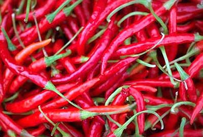 Dried Red Chilli