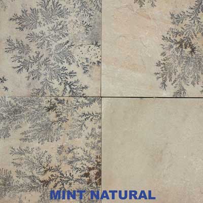 Mint Fossil Sandstone