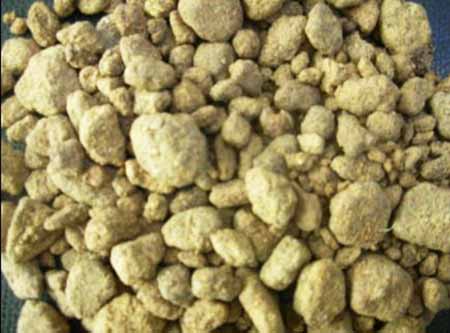 Rapeseed Meal, Protein : 37 % Min.