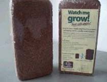 Coco Peat Briquettes