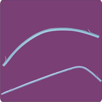 BS - Biliary Stents