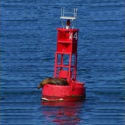 Mjr Corporations Alloy Steel Floating Buoys