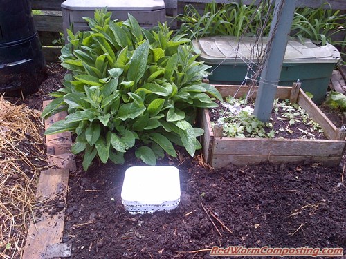 Sachdeva Nurseries Waste Vermicomposter