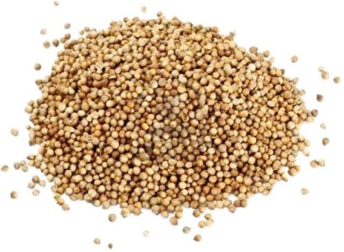 Coriander seeds, Specialities : Good Quality