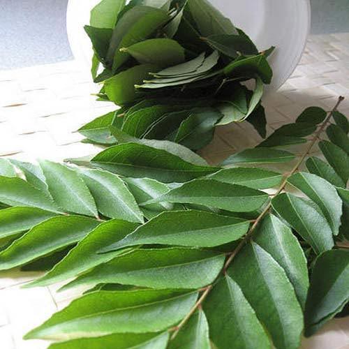 Curry Leaves