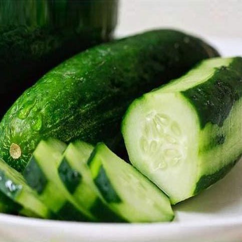 Fresh Cucumber,fresh Cucumber