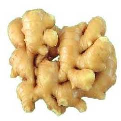 Fresh ginger, Cultivation Type :Organic