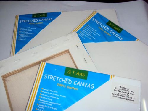 S T Arts Stretched Canvas