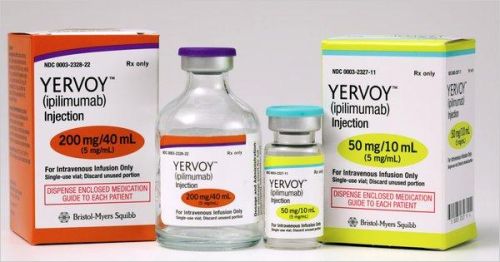 YERVOY® Ipilimumab Yervoy