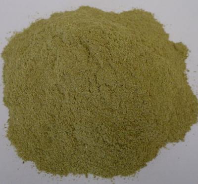Super Sweet Stevia Leaf Powder, Brand Name : Plant Extract